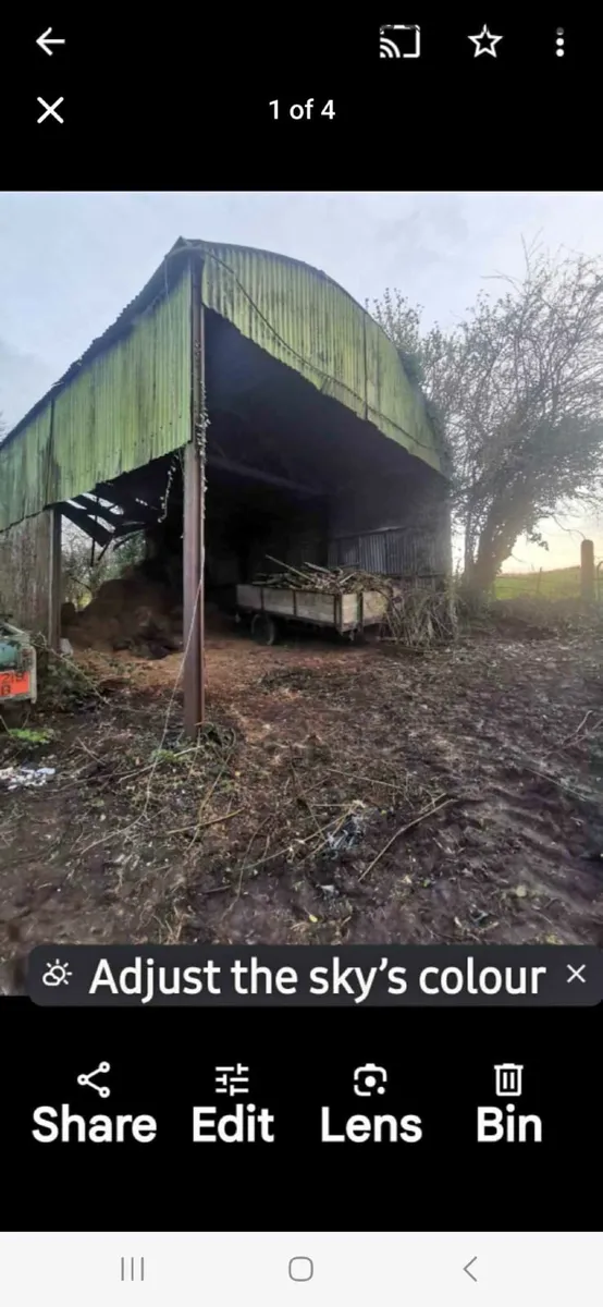 Shed repairs - Image 3