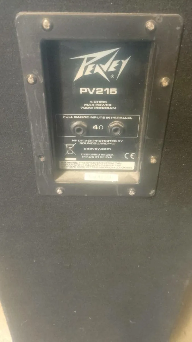 Peavey 2x15 speakers - Image 1