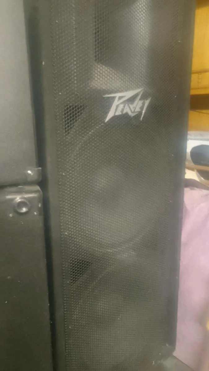 Peavey 2x15 speakers - Image 2