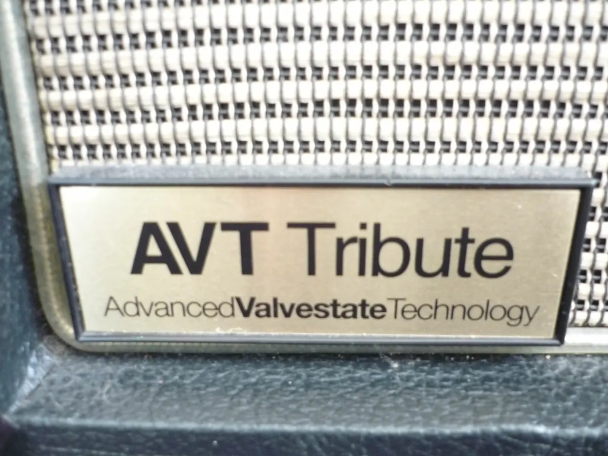 Aria Pro II STG, Marshall AVT100XT Tribute + Case - Image 3