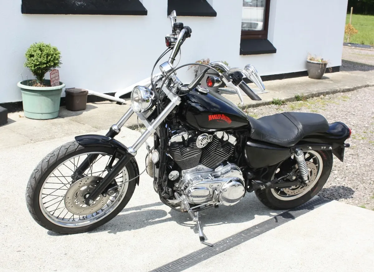 Harley Davidson 1200 Sportster low mileage - Image 3