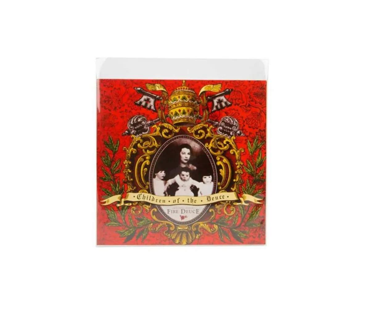 10" Vinyl Record Plastic Cover Sleeves - WITH FLAP - Image 3