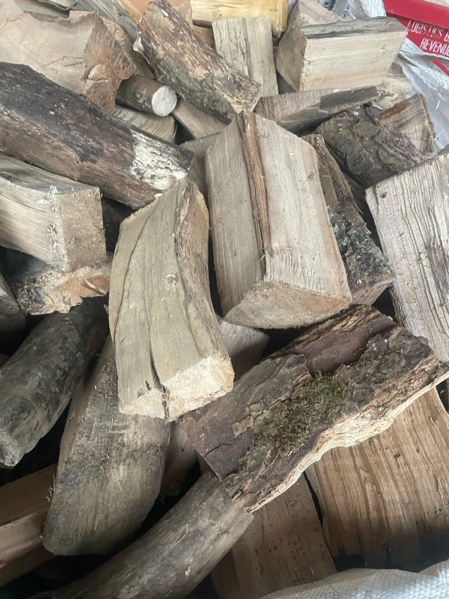 Firewood - Image 1