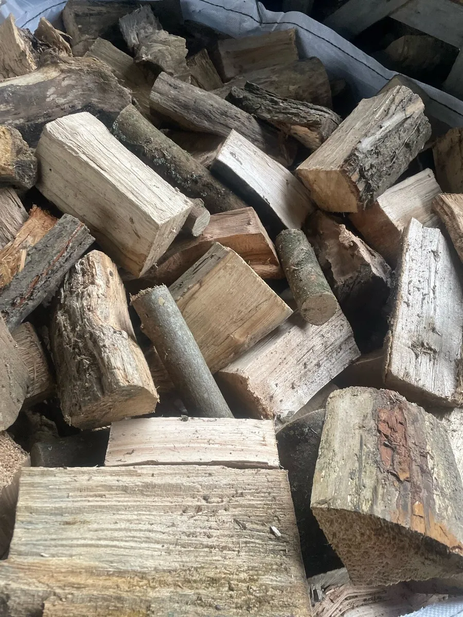 Firewood - Image 2