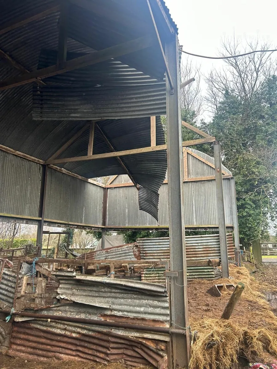 Shed repairs - Image 1
