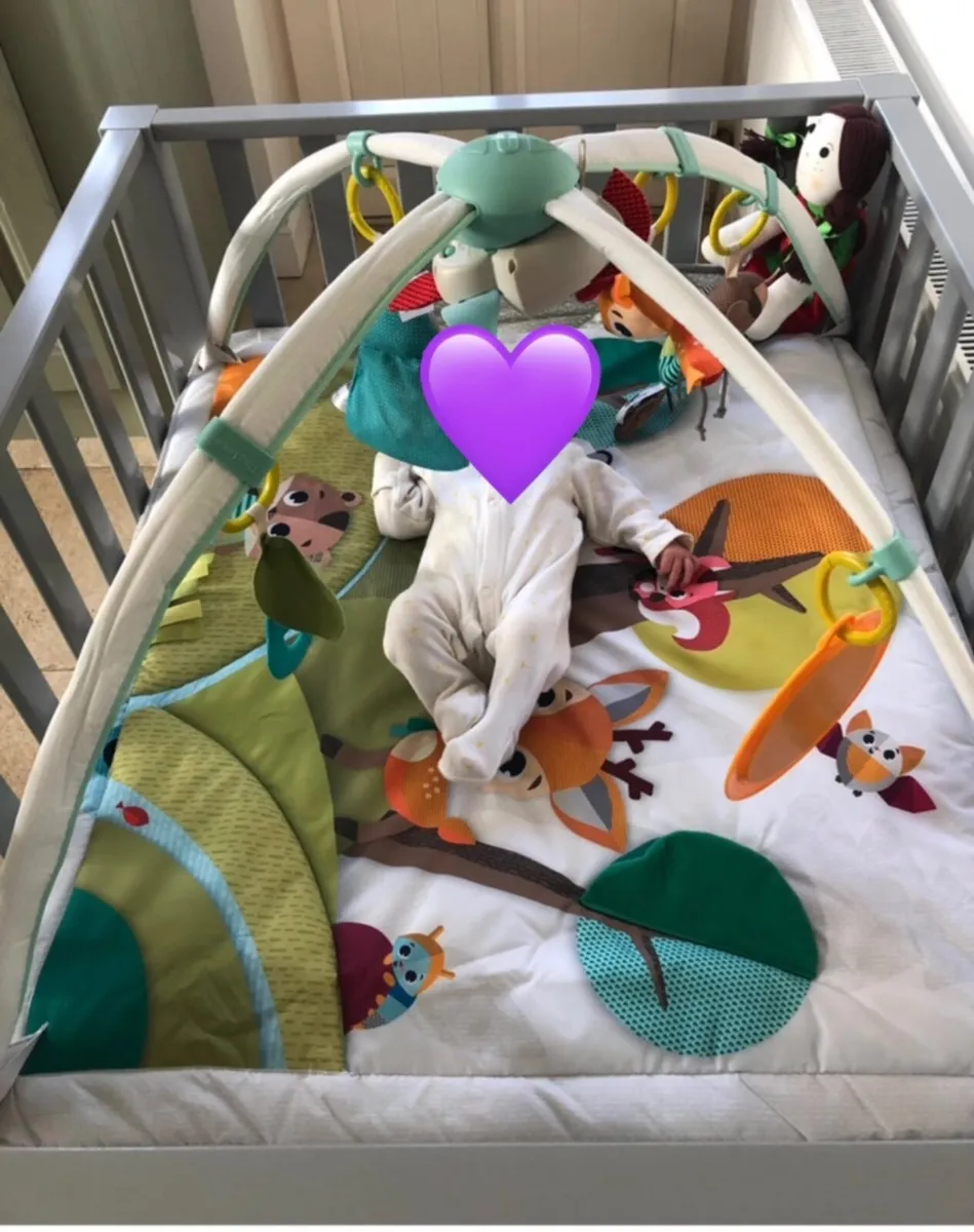 Playpen for Newborn to Toddler - Image 2