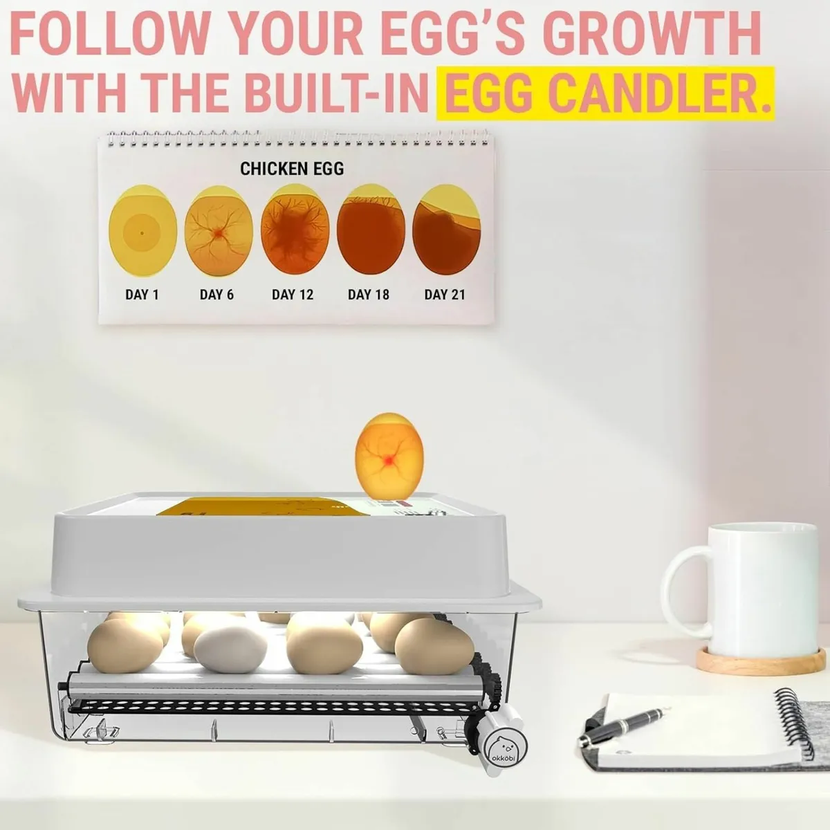 36 Egg Incubator;Automatic Egg Turner For Poultry - Image 4