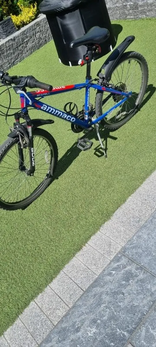 Boys Mountain Bike - Image 1