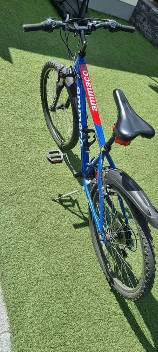 Boys Mountain Bike - Image 2