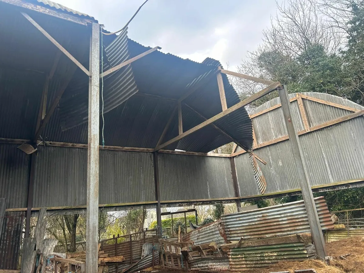 Shed repairs - Image 1