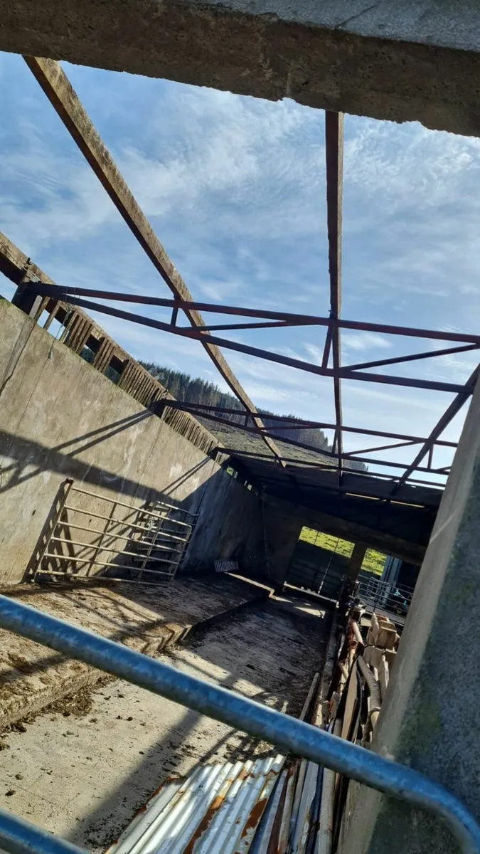 Shed repairs - Image 2
