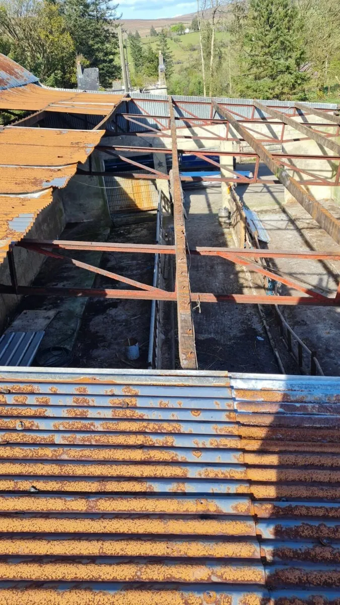 Shed repairs - Image 4