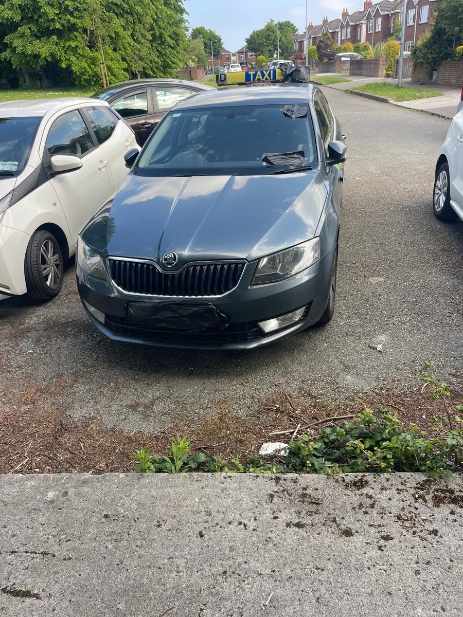 TAXI RENTAL - Image 4