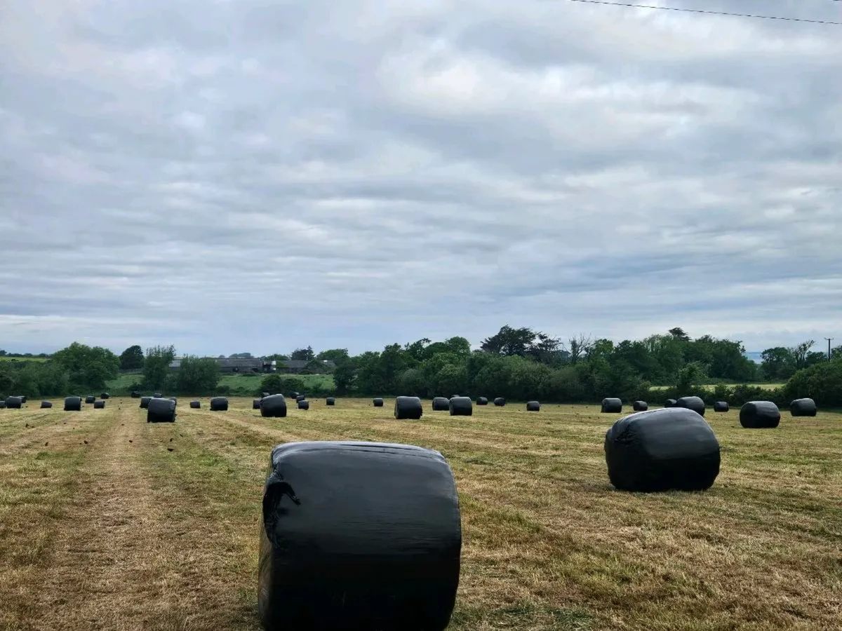 Haylage Bales - Image 1