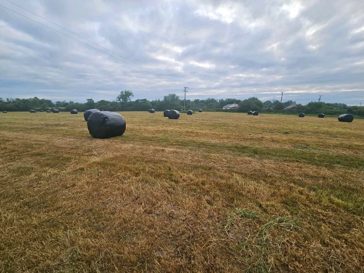 Haylage Bales - Image 2
