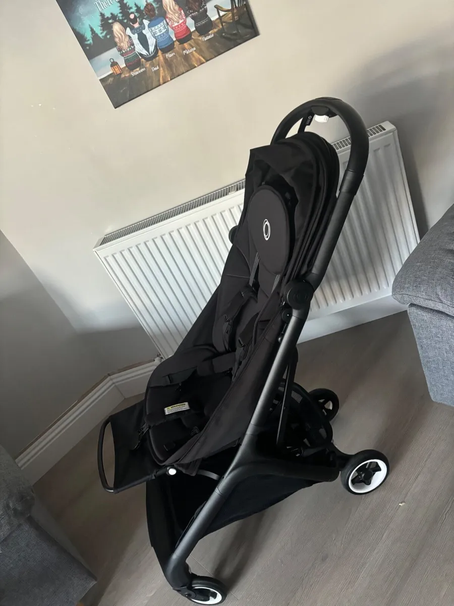 Buggy - Image 1