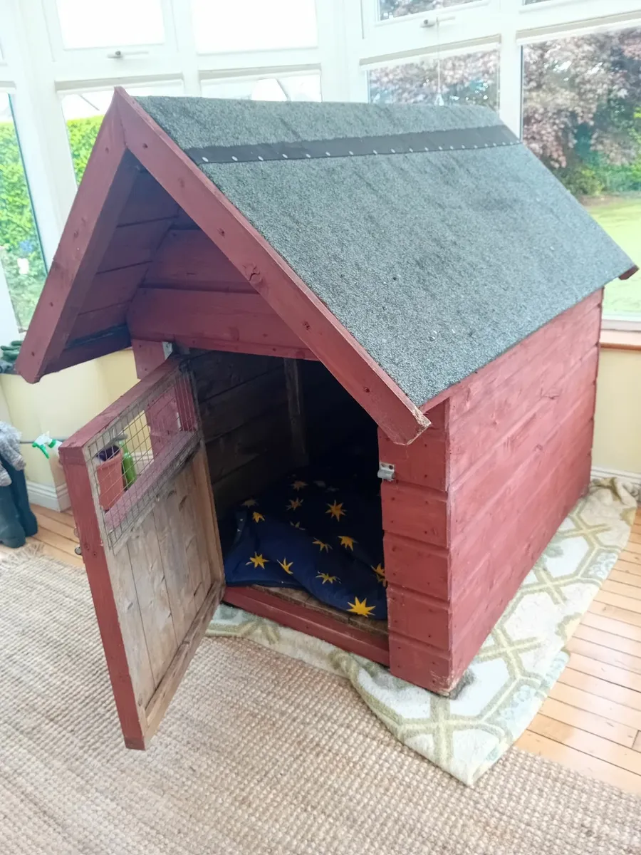 Dog box - Image 3