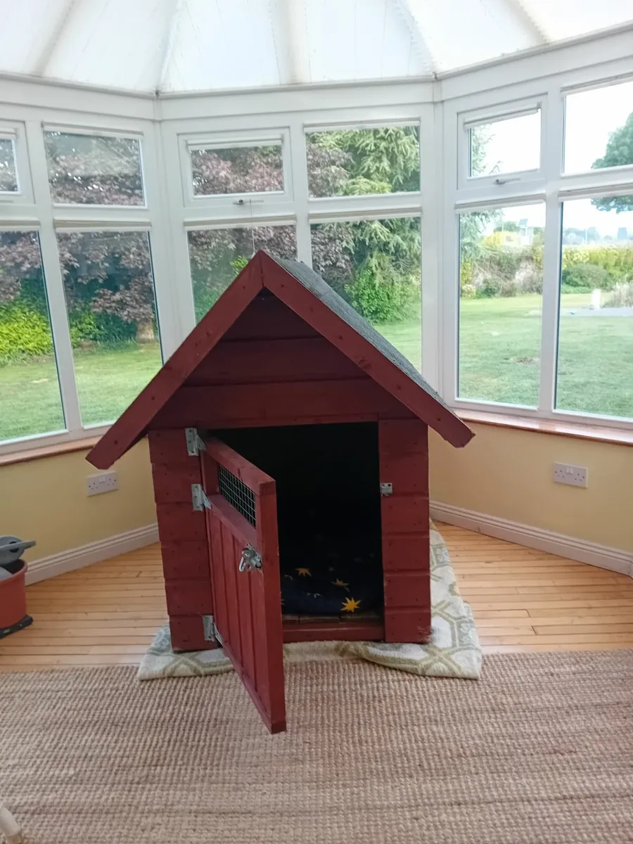 Dog box - Image 4