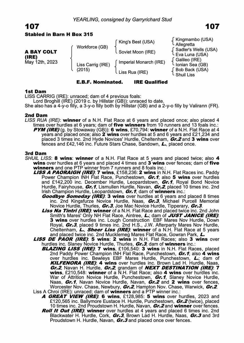 3yrs old thoroughbred Filly by Valirann - Image 2