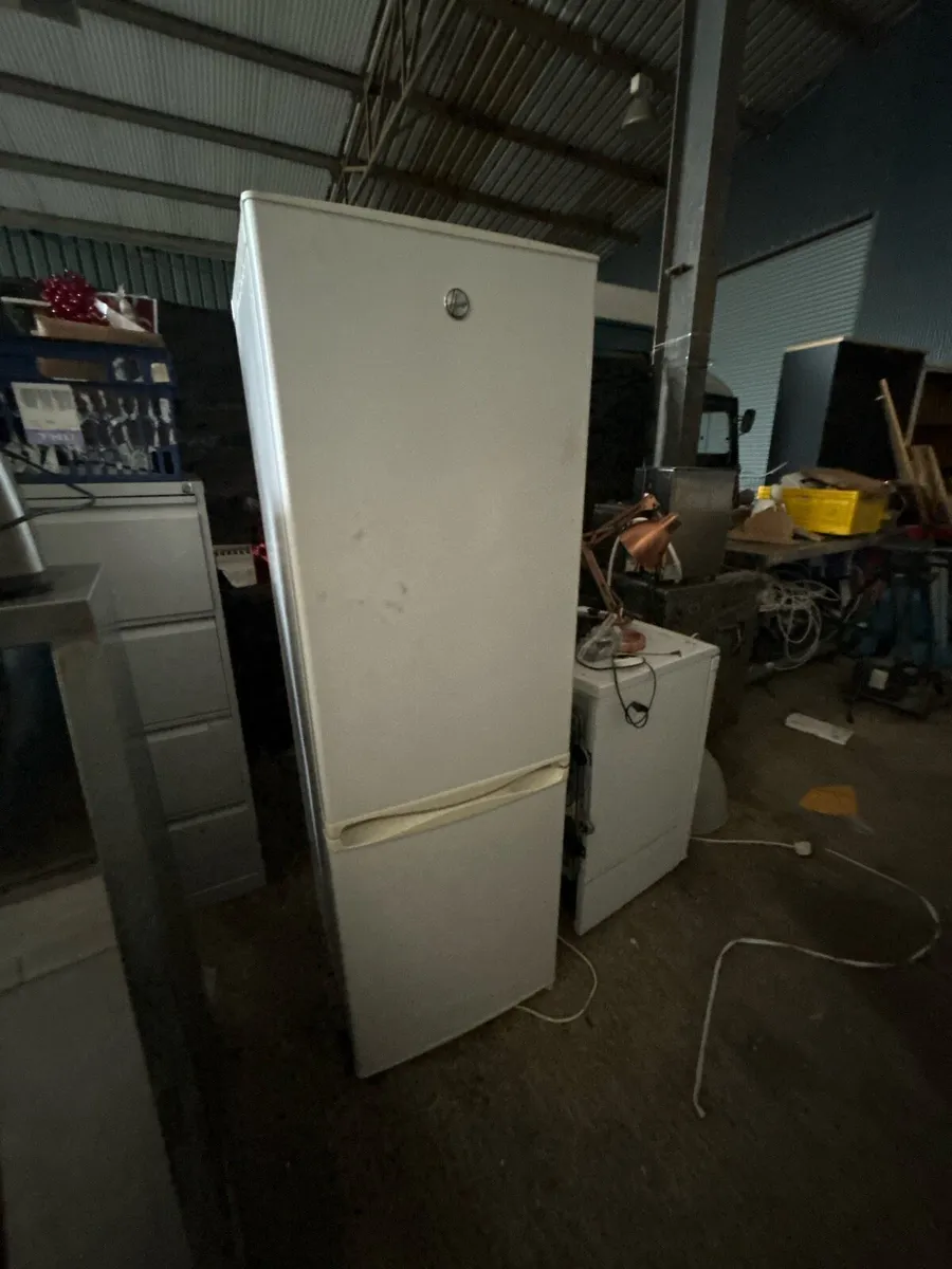 Fridge Freezer - Image 1