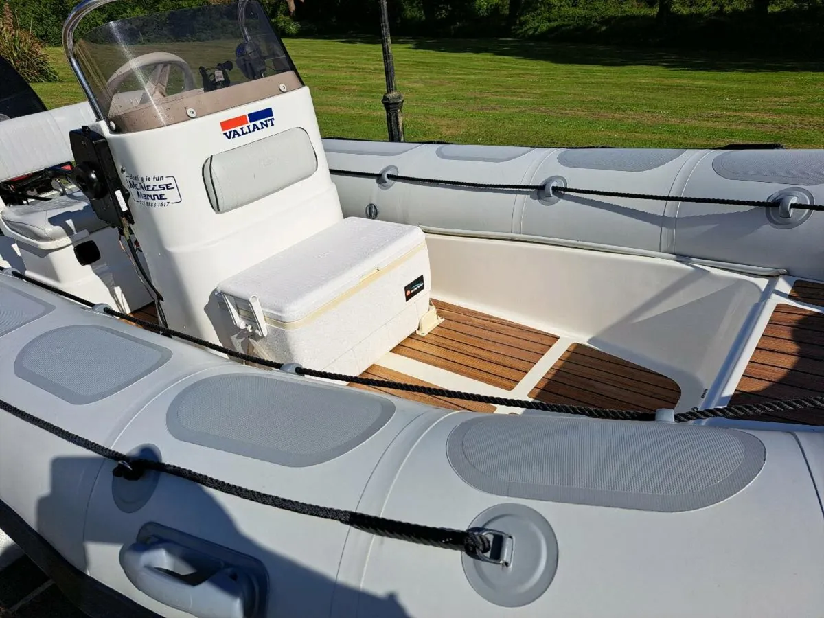 Rib - Image 4