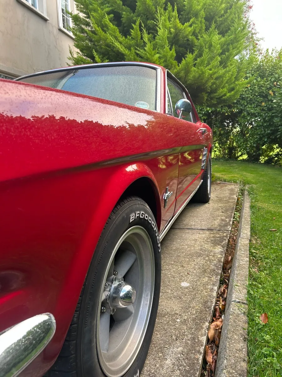 Car - Image 3