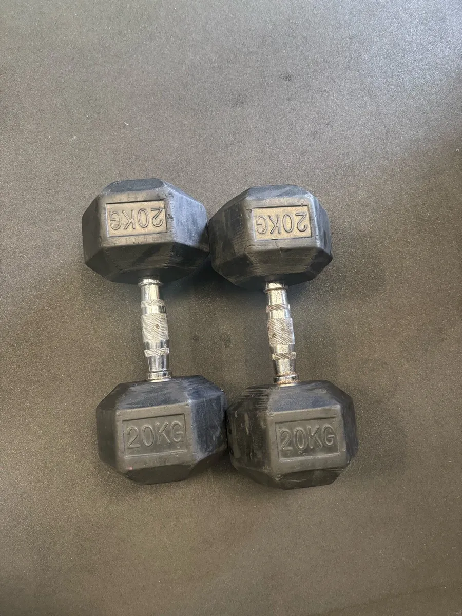 20kg dumbell pair