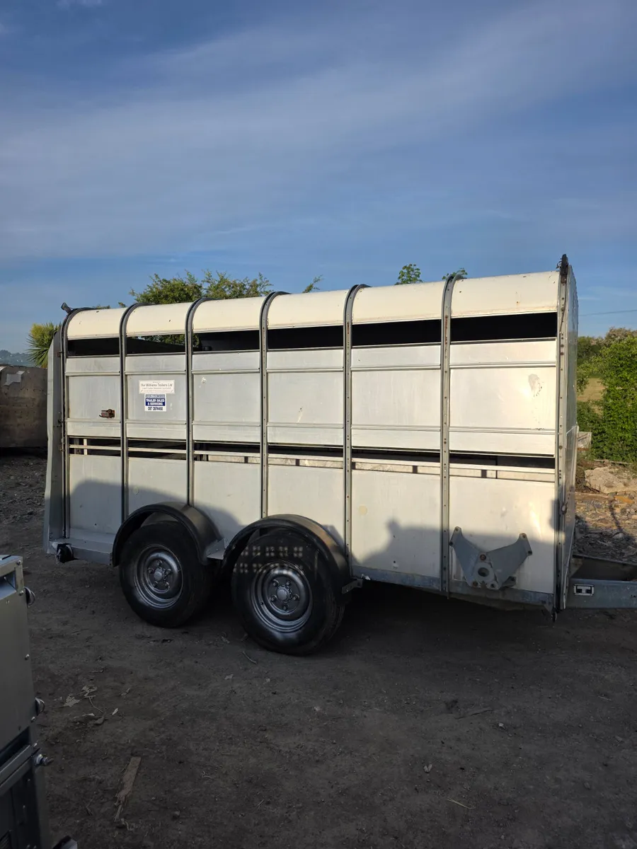 12ft ifor Williams livestock trailer - Image 3