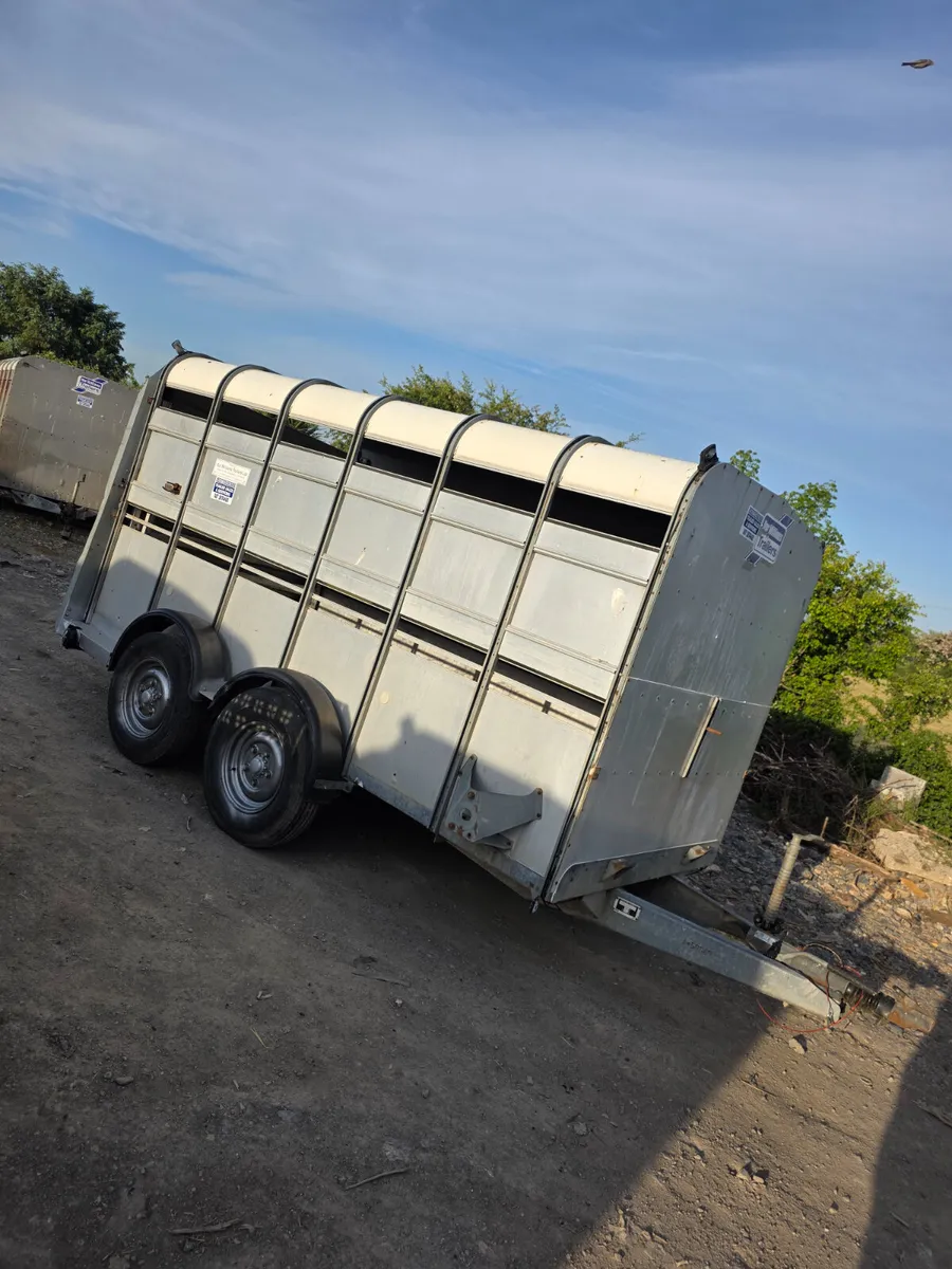 12ft ifor Williams livestock trailer - Image 1