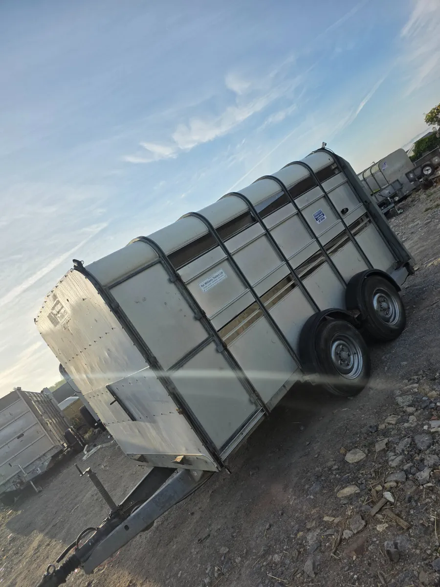12ft ifor Williams livestock trailer - Image 2