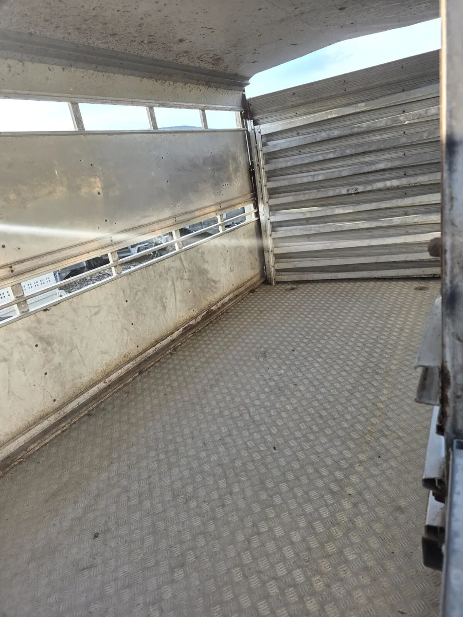 12ft ifor Williams livestock trailer - Image 4