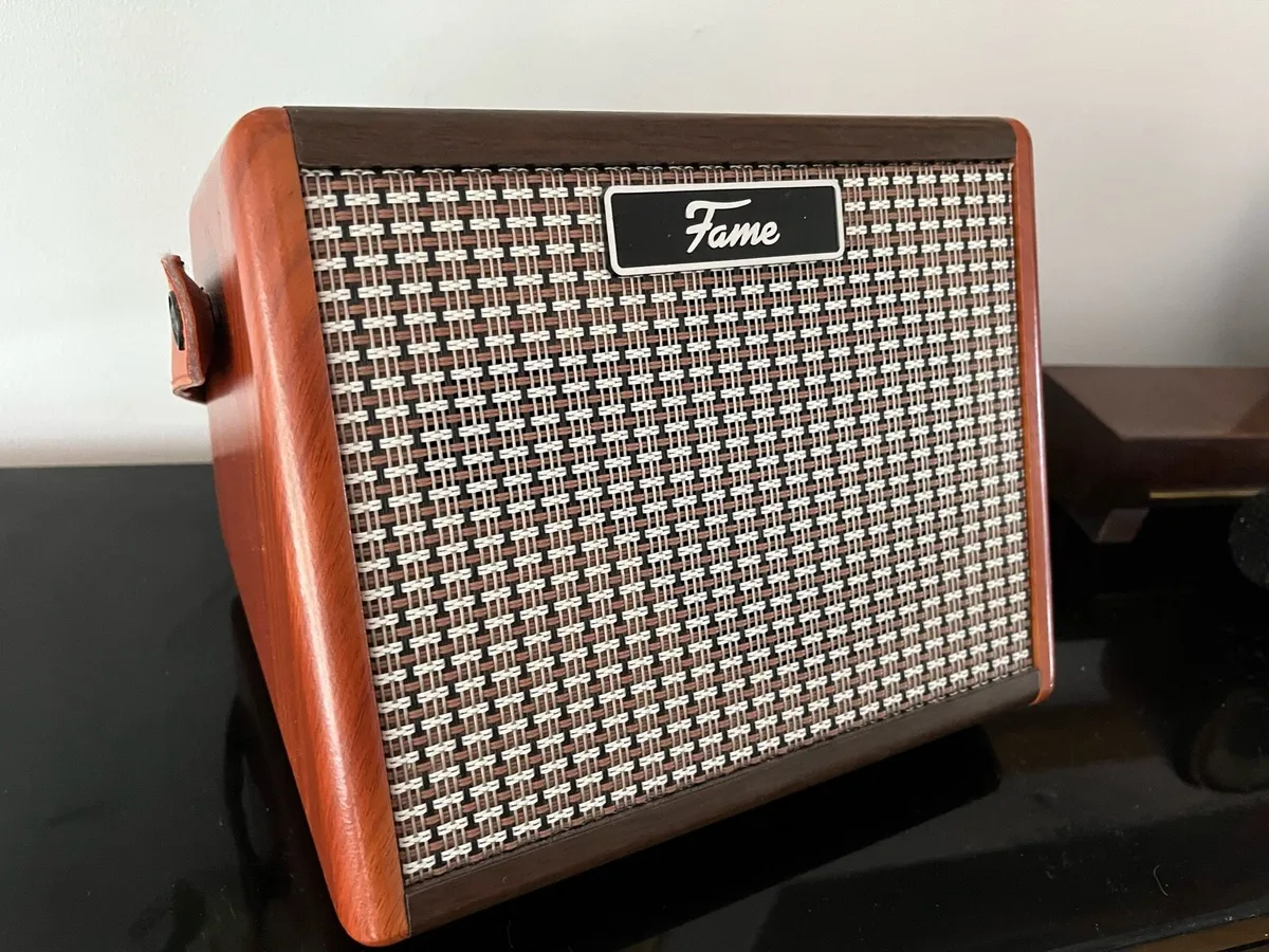 Fame 15W battery amplifier - Image 1