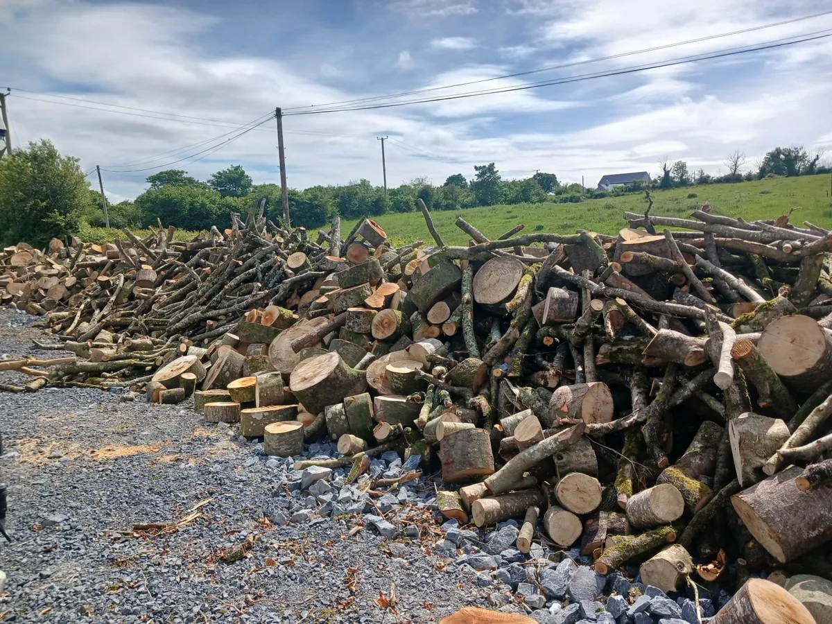 firewood, special offer deal - Image 1