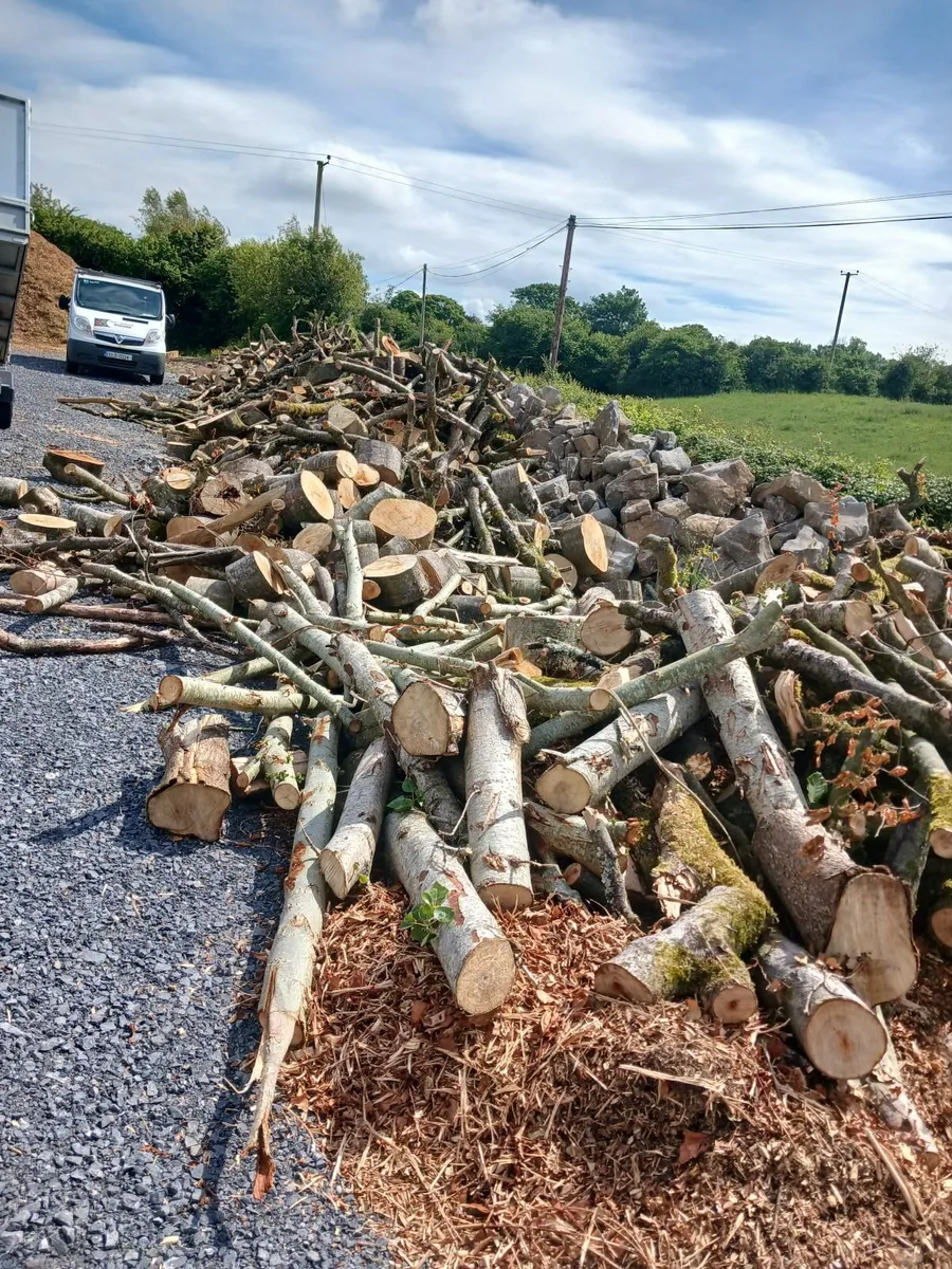 firewood, special offer deal - Image 2