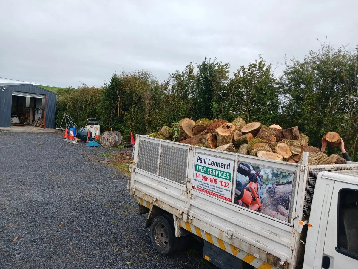 firewood, special offer deal - Image 3