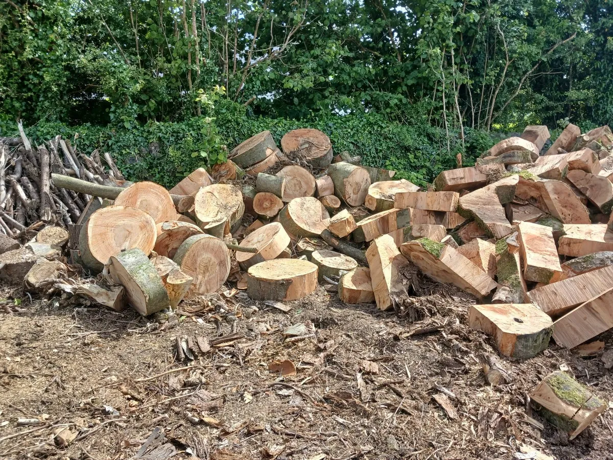firewood, special offer deal - Image 4