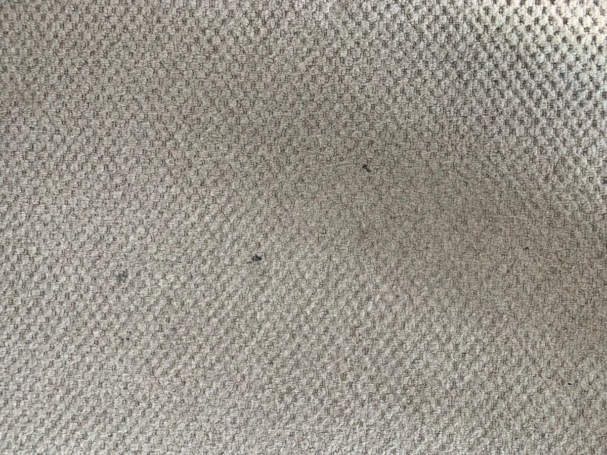Wool carpet - Image 4