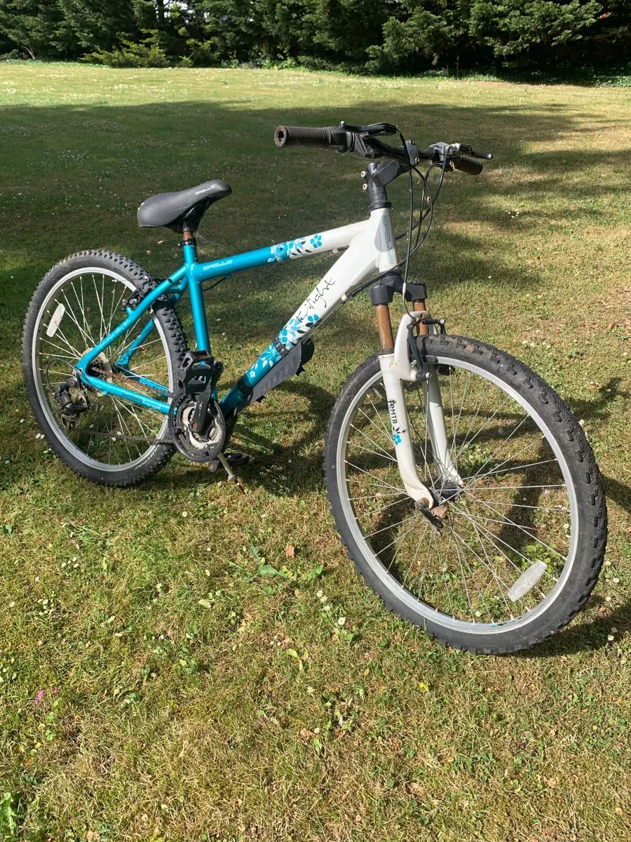 Bicycles for sale. - Image 2