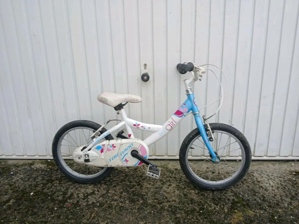 Selection Boy's and girls 16" bikes - Image 4
