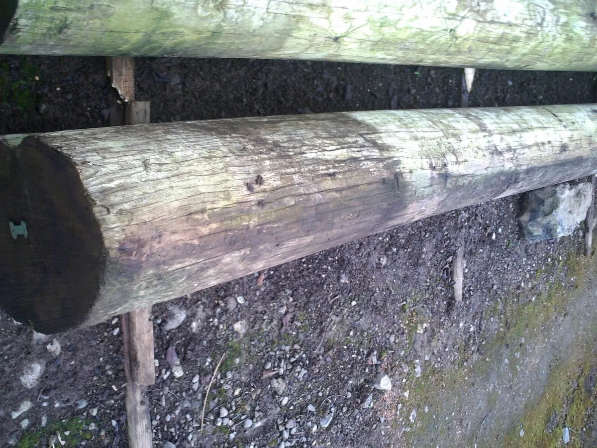 good, strong timber pole
