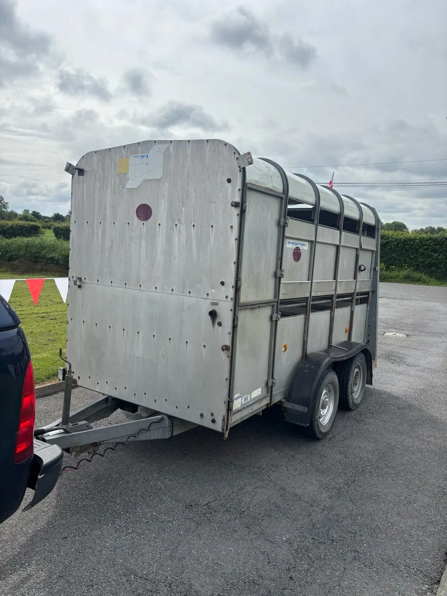 Cattle trailer - Image 2