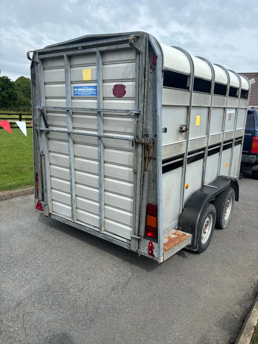 Cattle trailer - Image 4