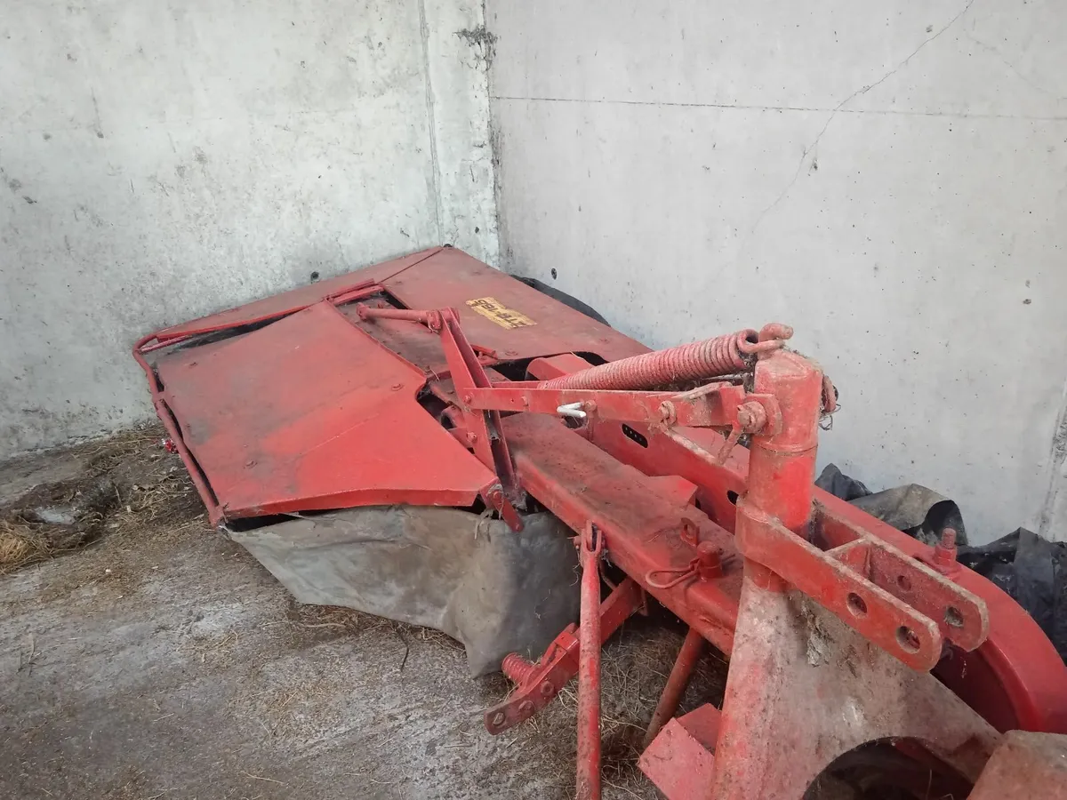 Rotary Mower - Image 1