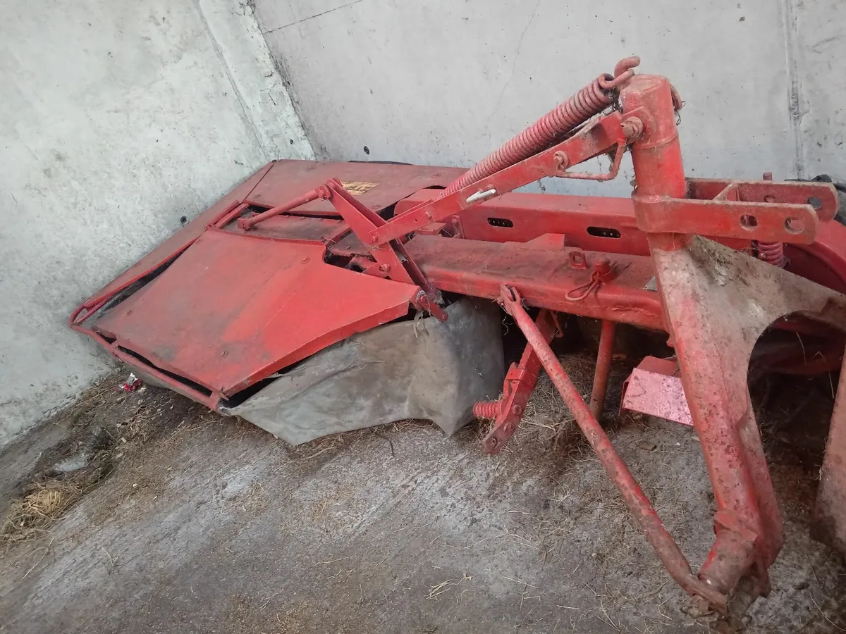 Rotary Mower - Image 2