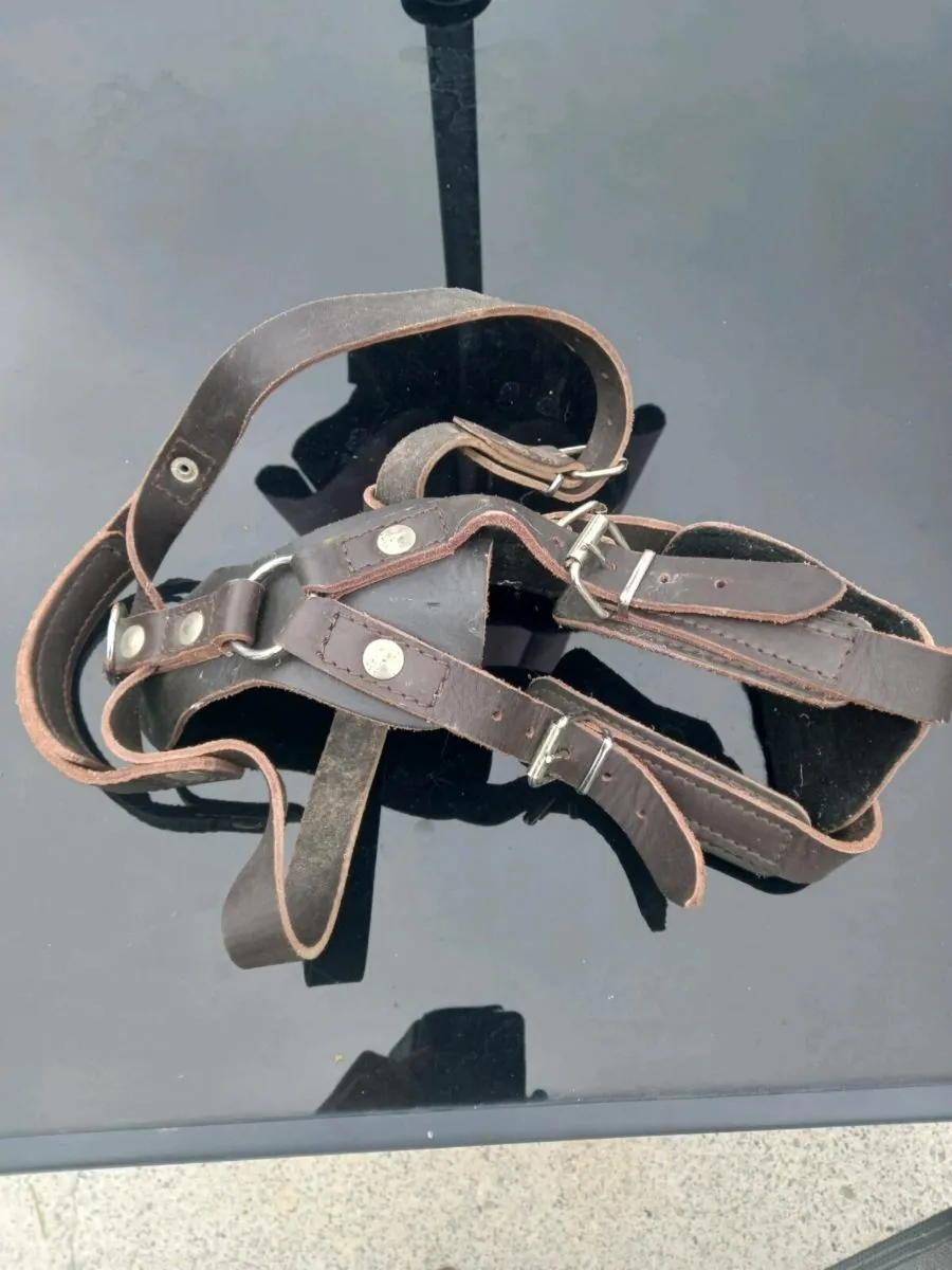 German shepherd leads..harness..chains - Image 1