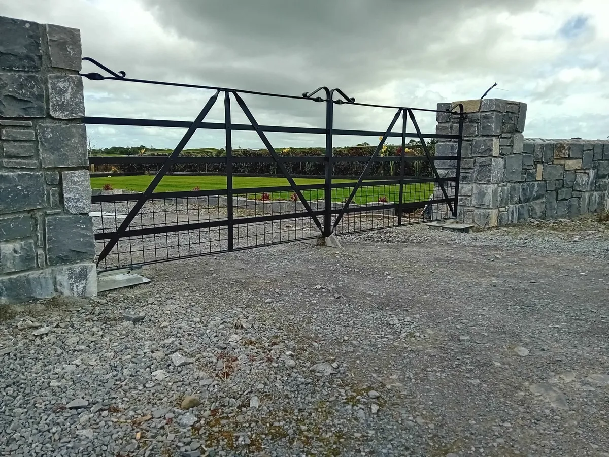 Wrought iron gates - Image 4