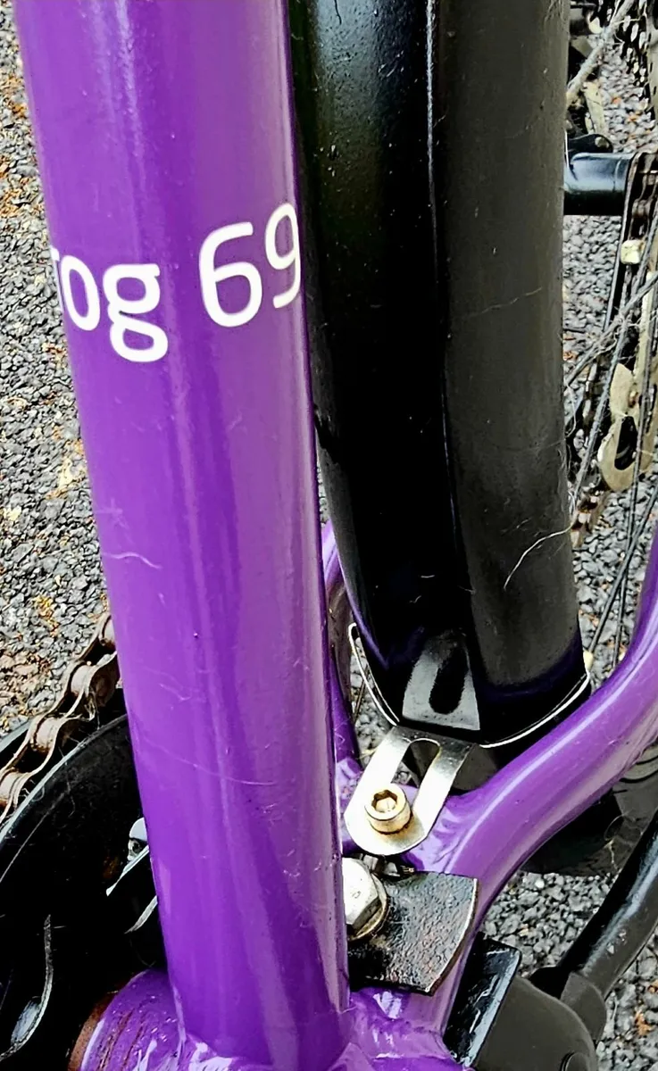 Kids frog bike - Image 2