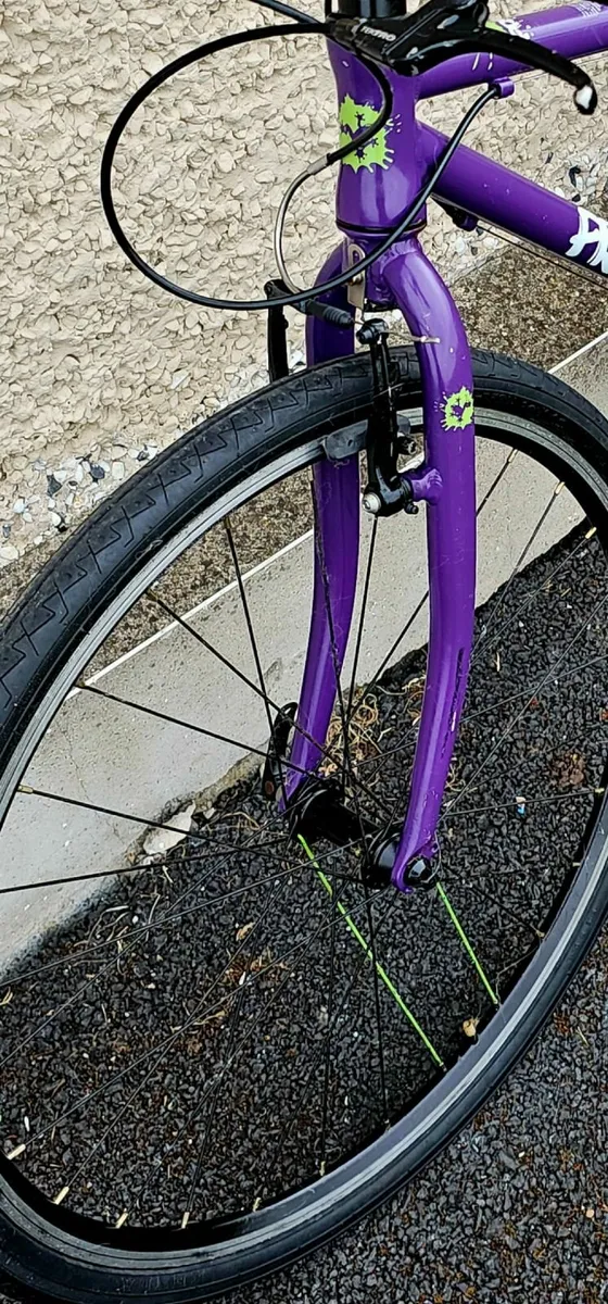 Kids frog bike - Image 3