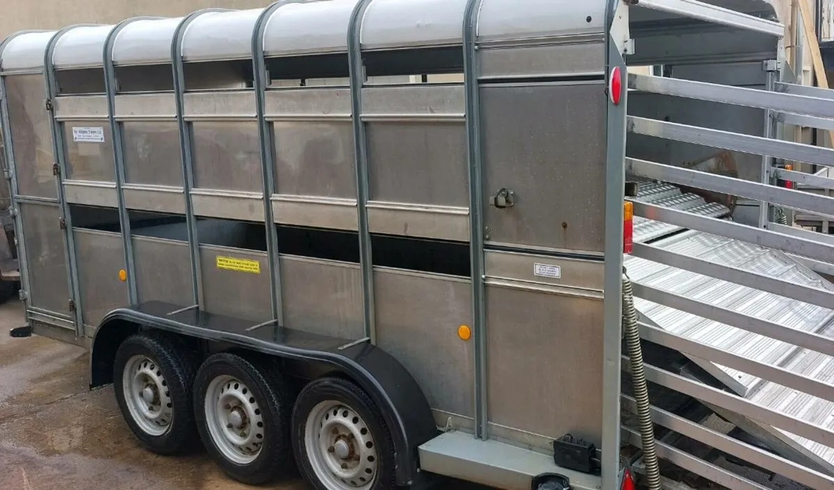Sheep/cattle trailer decks 14x6 tri axle year 2019 - Image 1