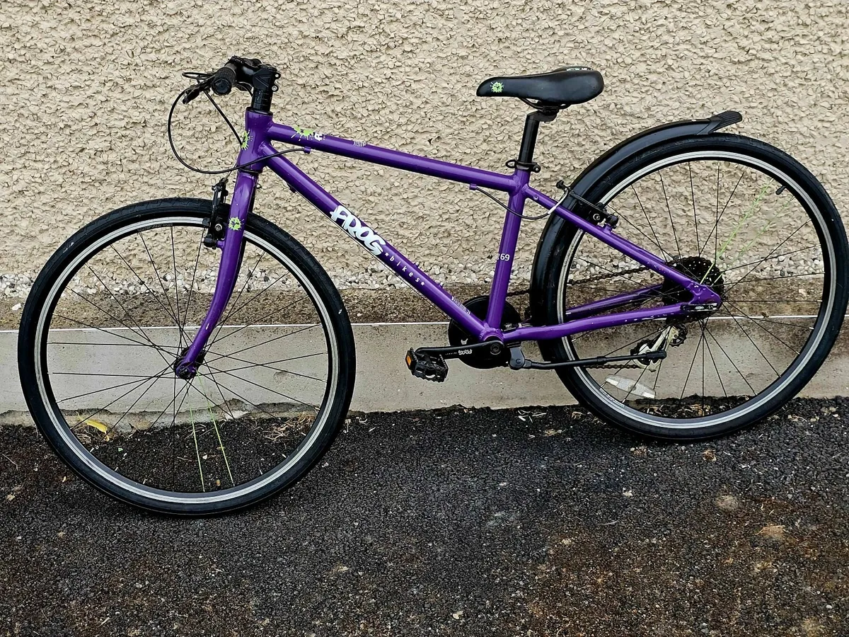 Kids frog bike - Image 1